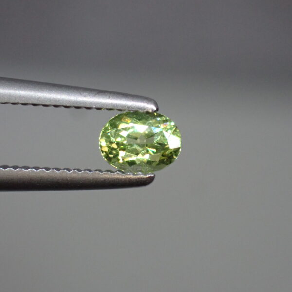 【タイ新着ルース】輝き抜群！アップルグリーンのようなネオン感☆キラキラのマリガーネット 0.186ct