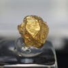 【ツーソン新着】＜標本＞南アメリカ産自然金（Gold・金原石）