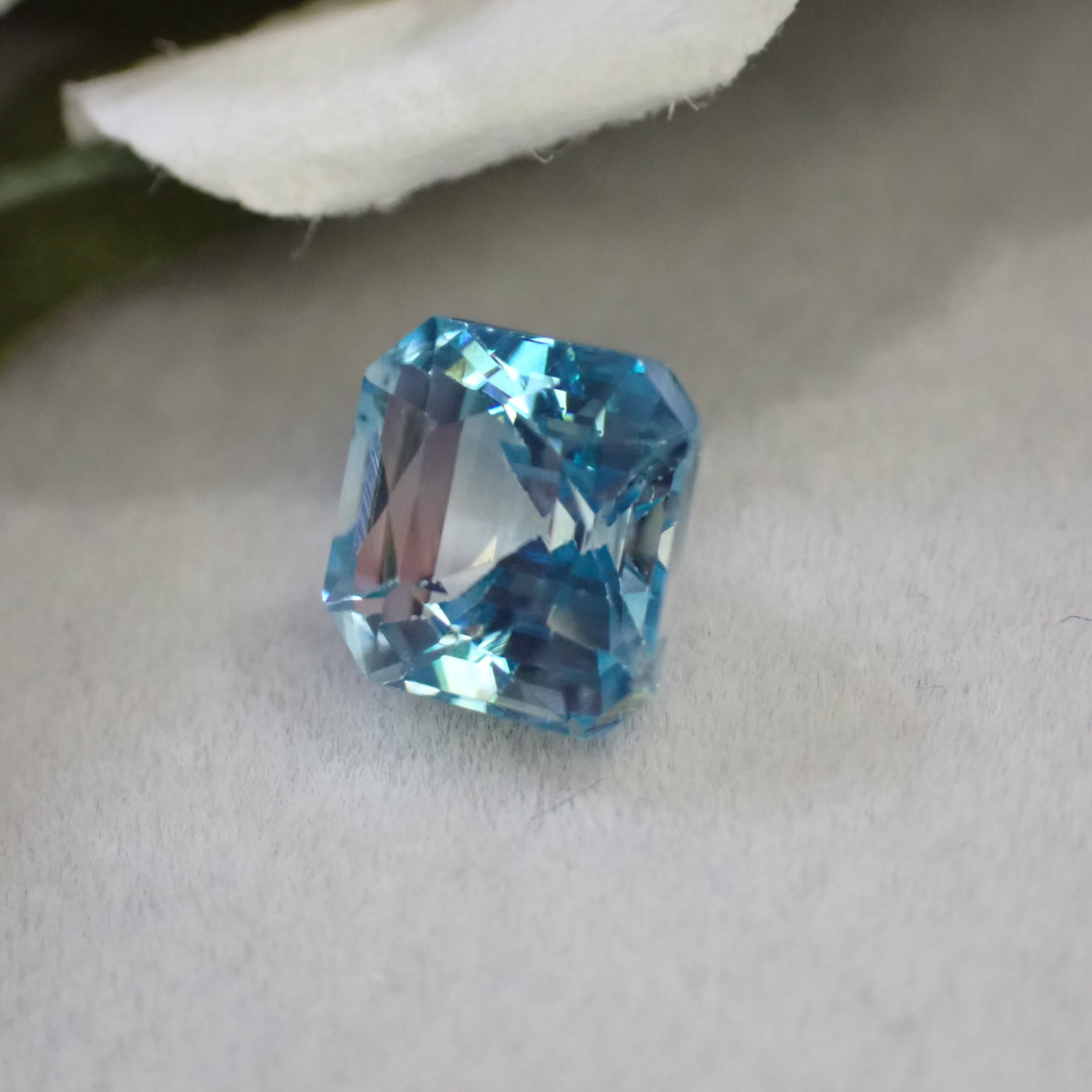 P6195169