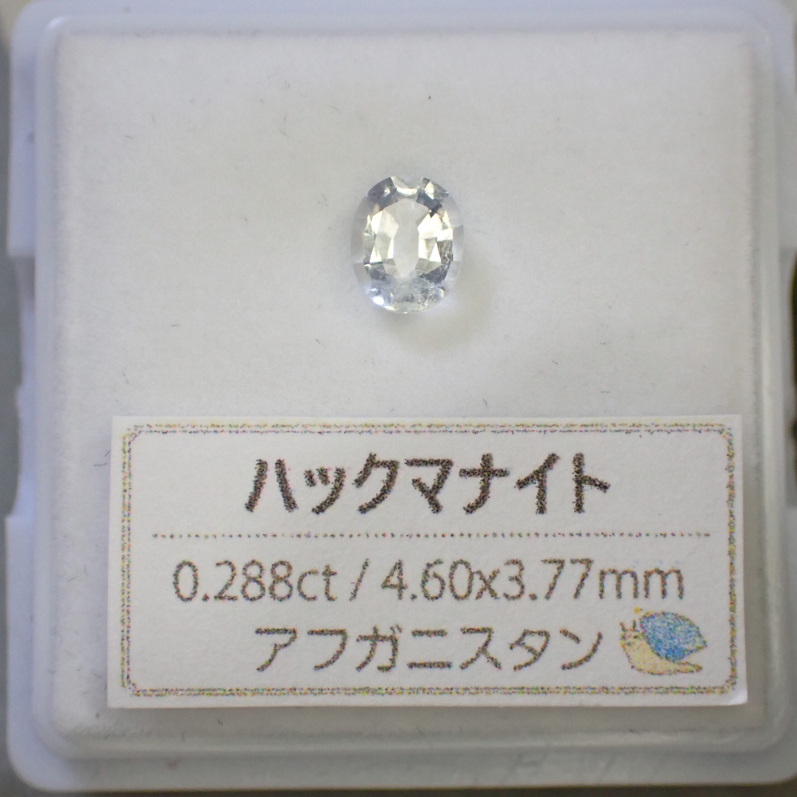 P7065732