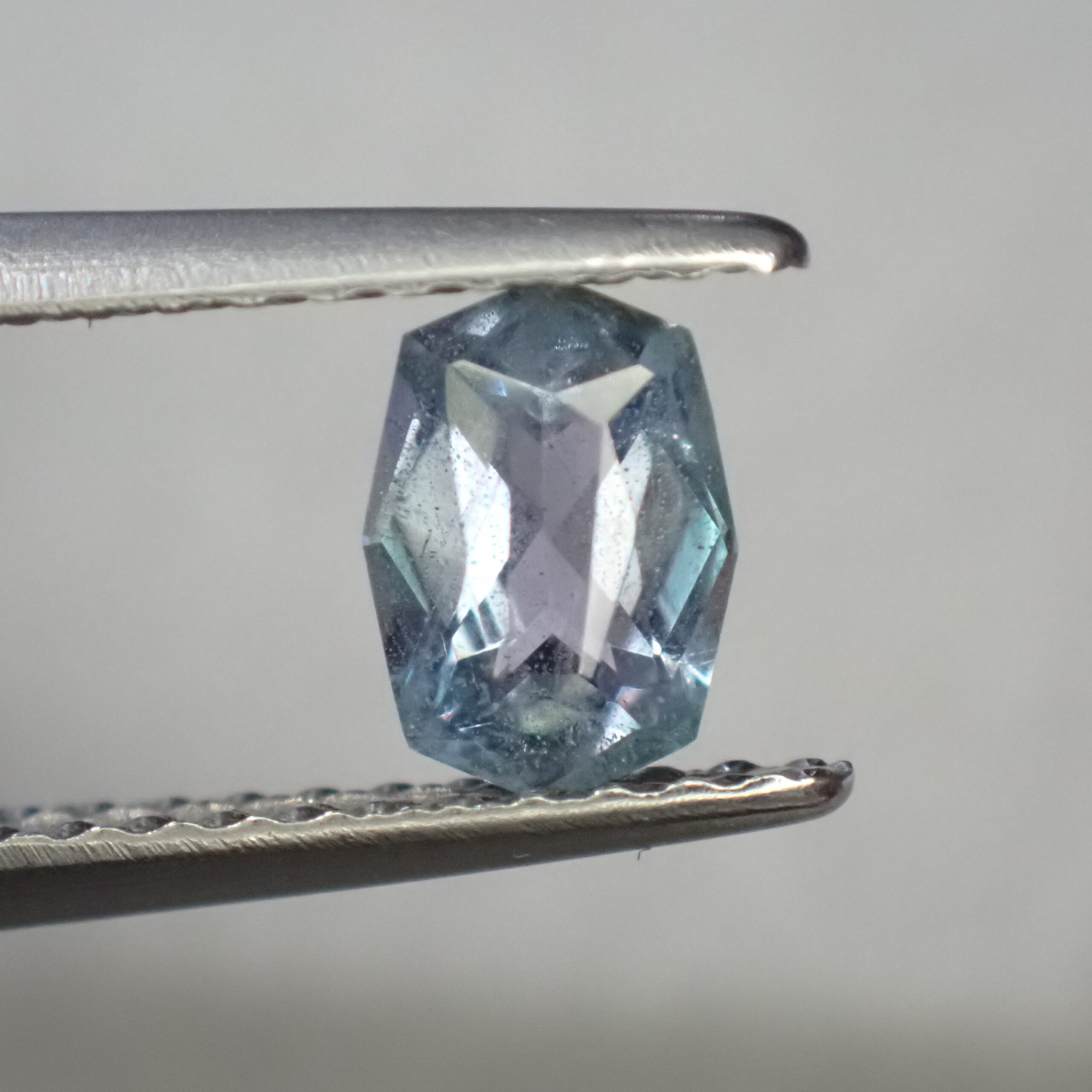 P8096509