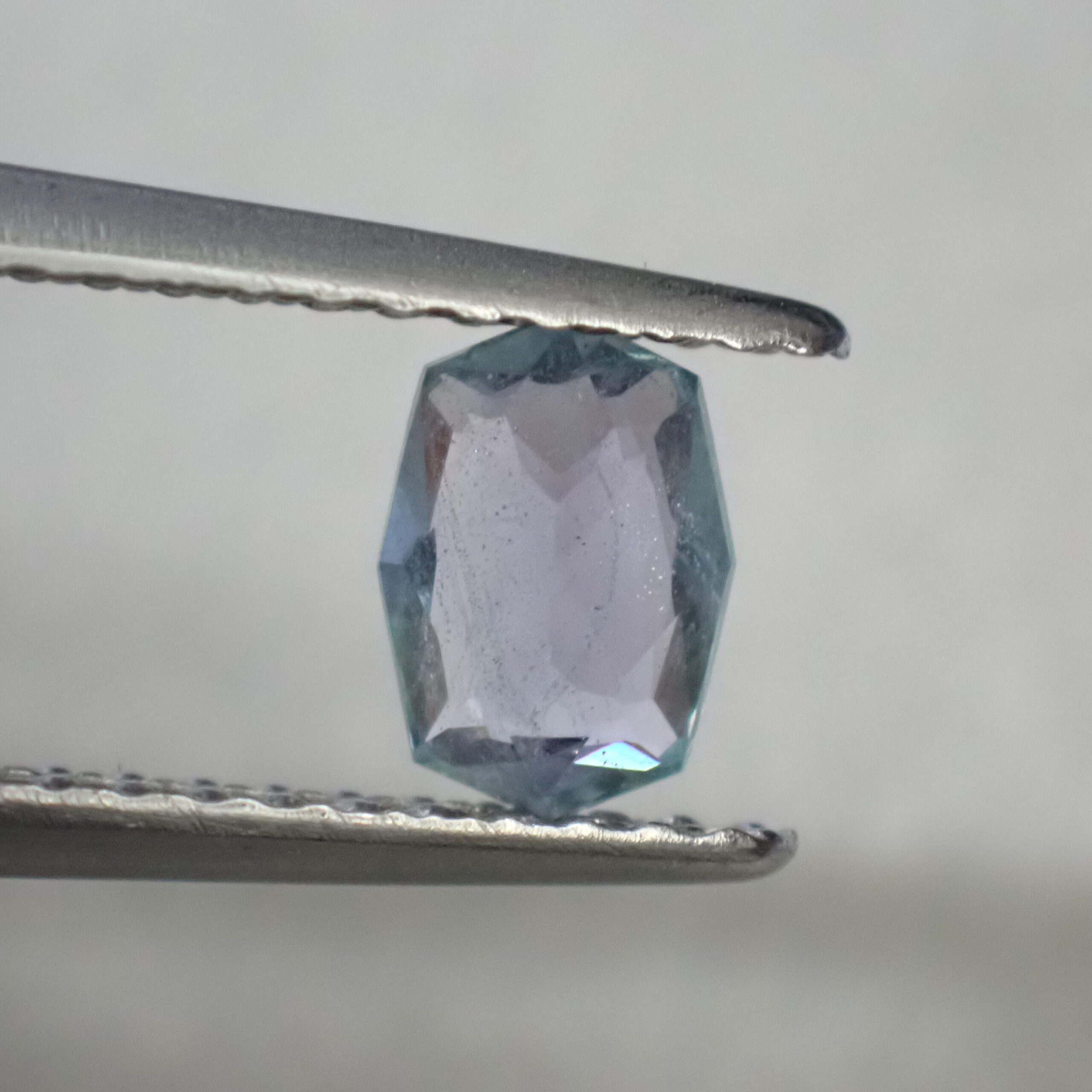 P8096510