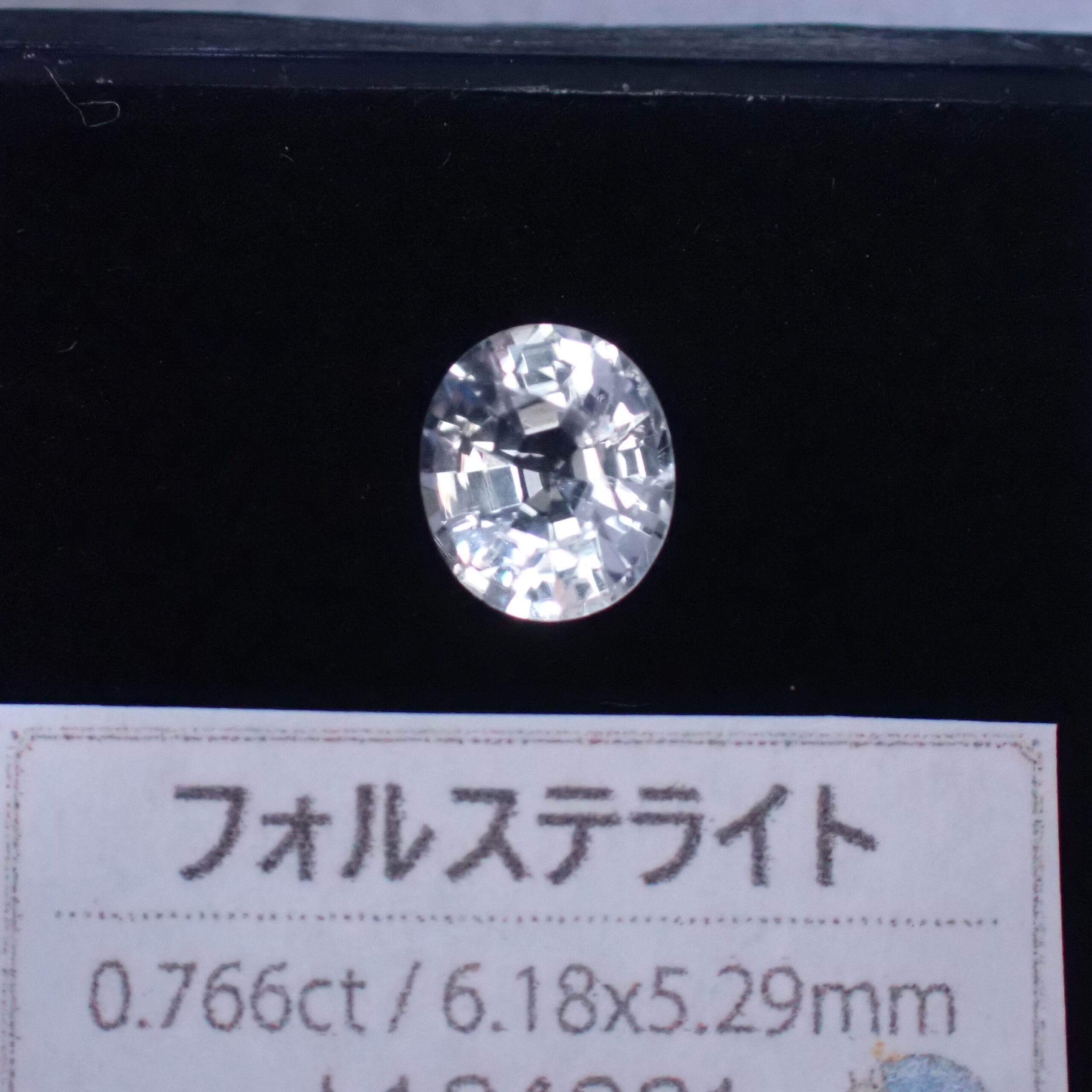 P8096469