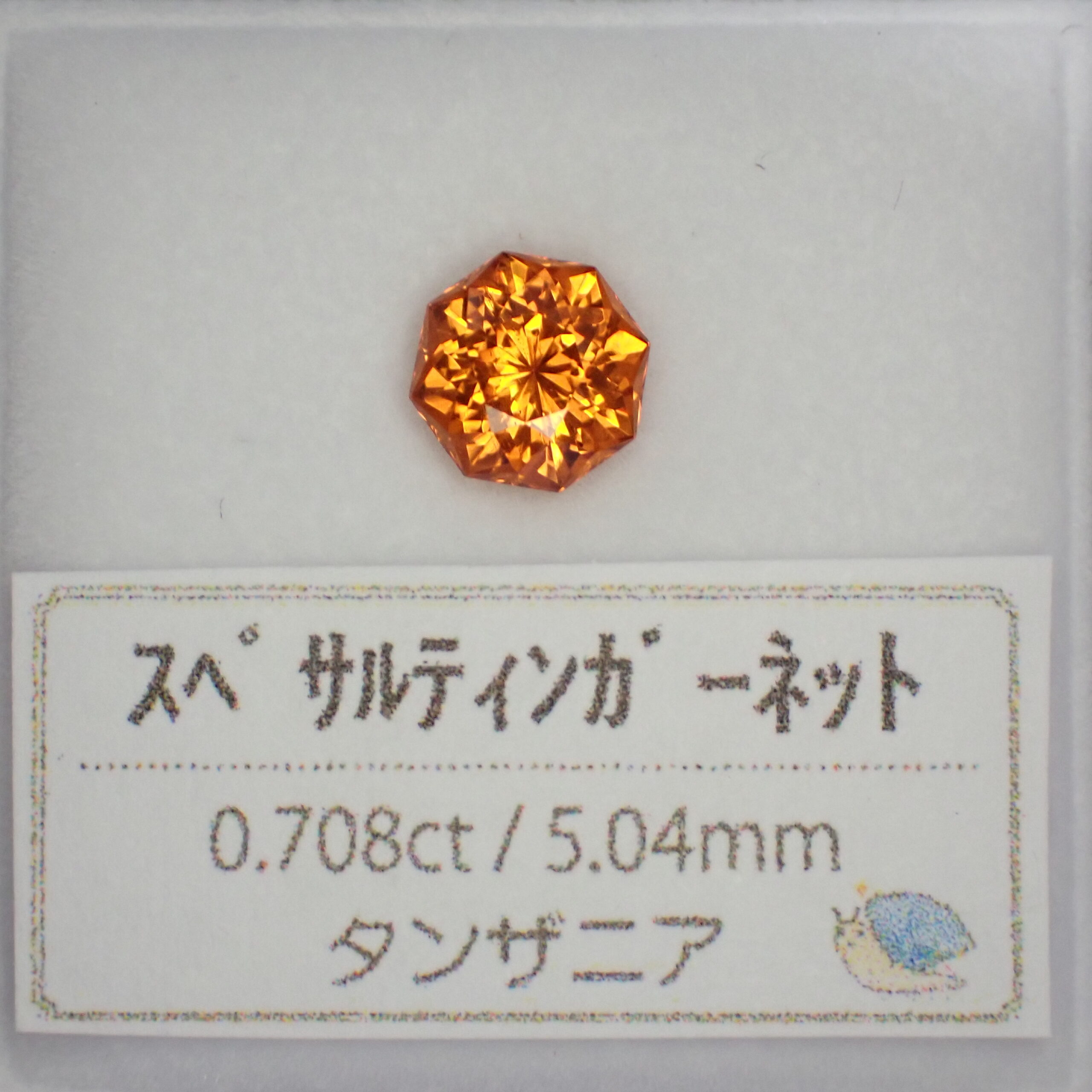 P8146623