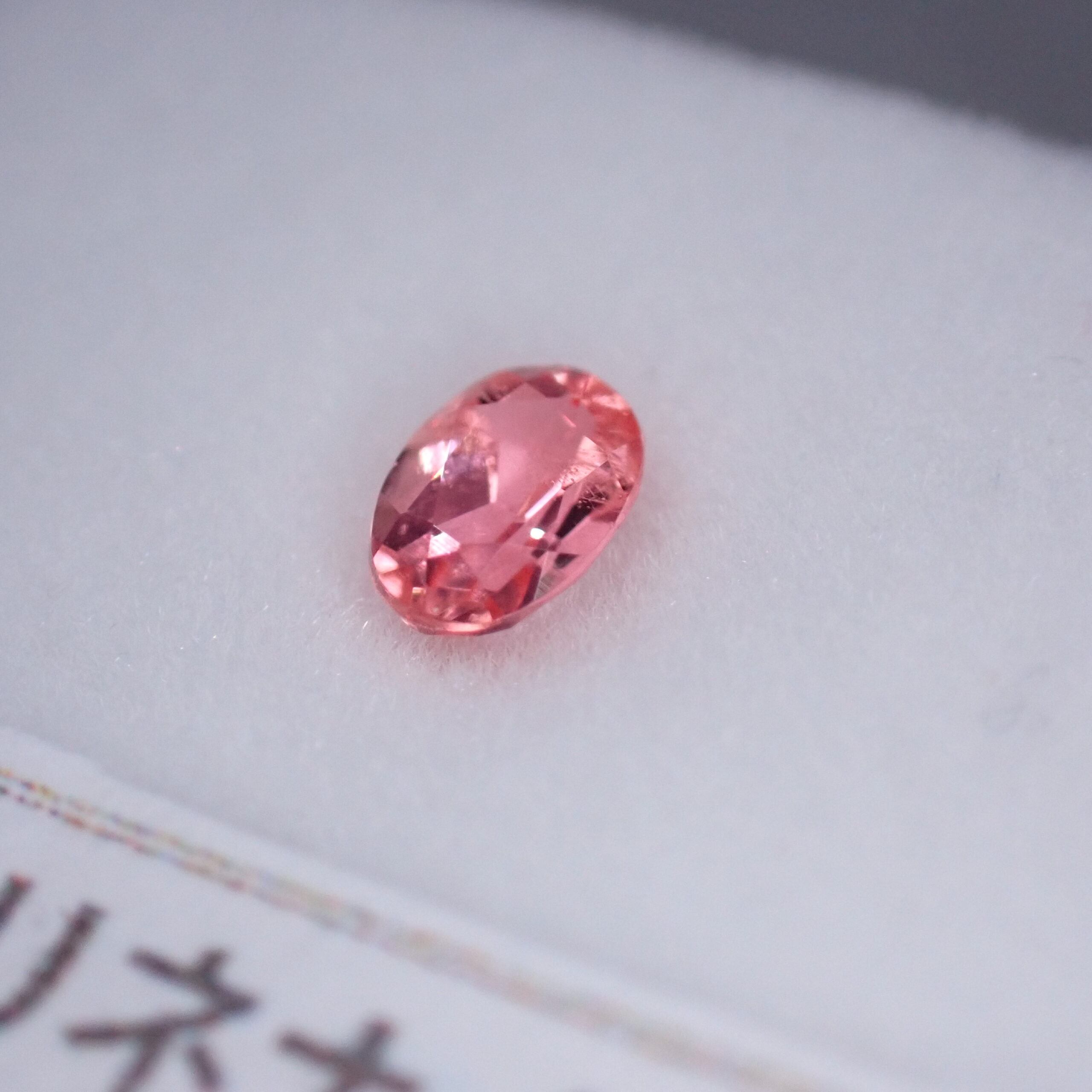 P8156654