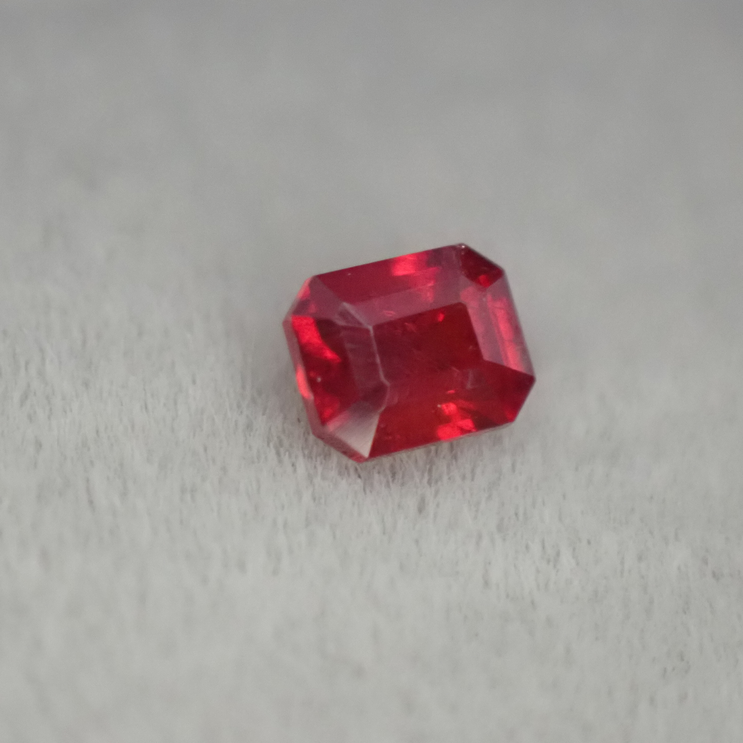 P9259856