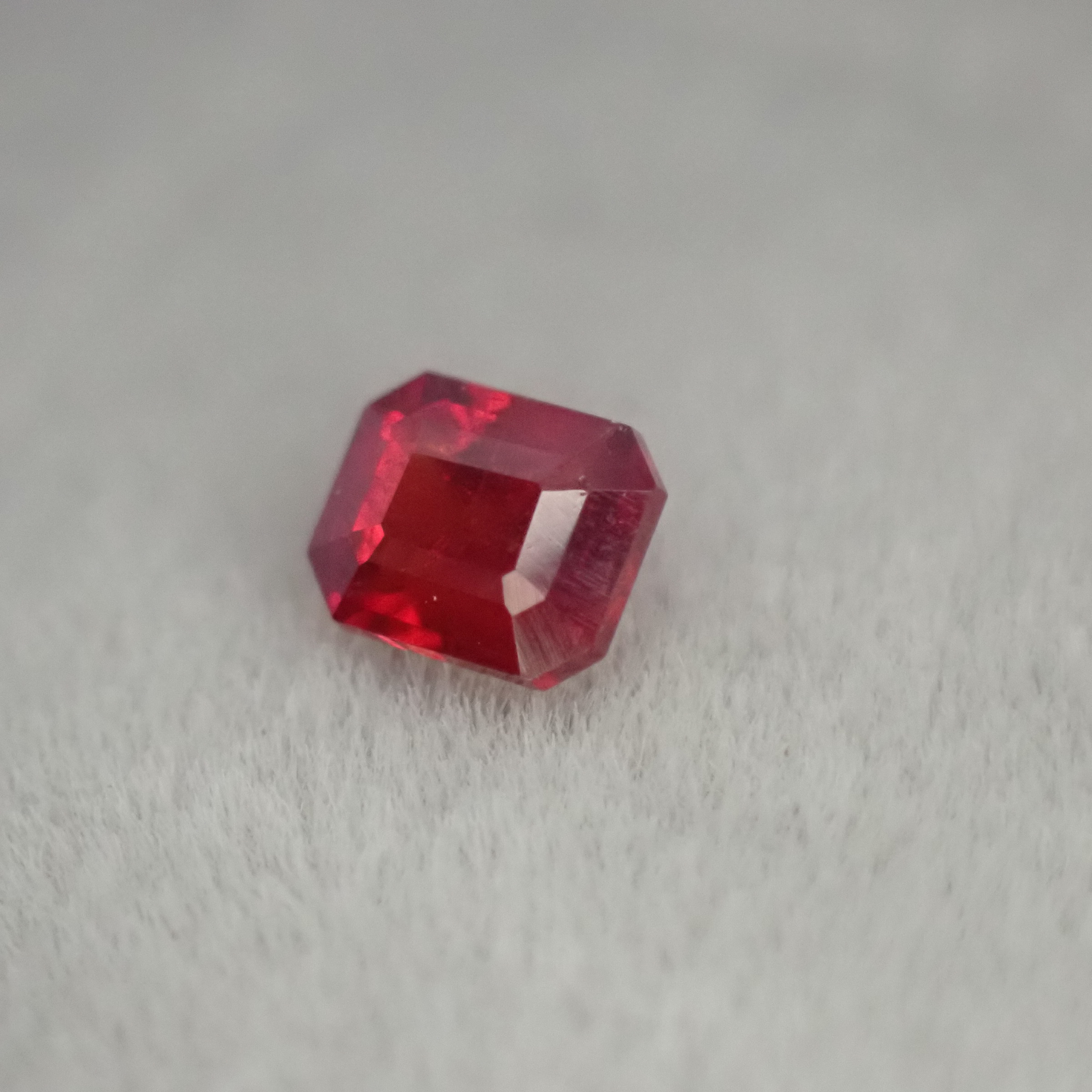P9259857