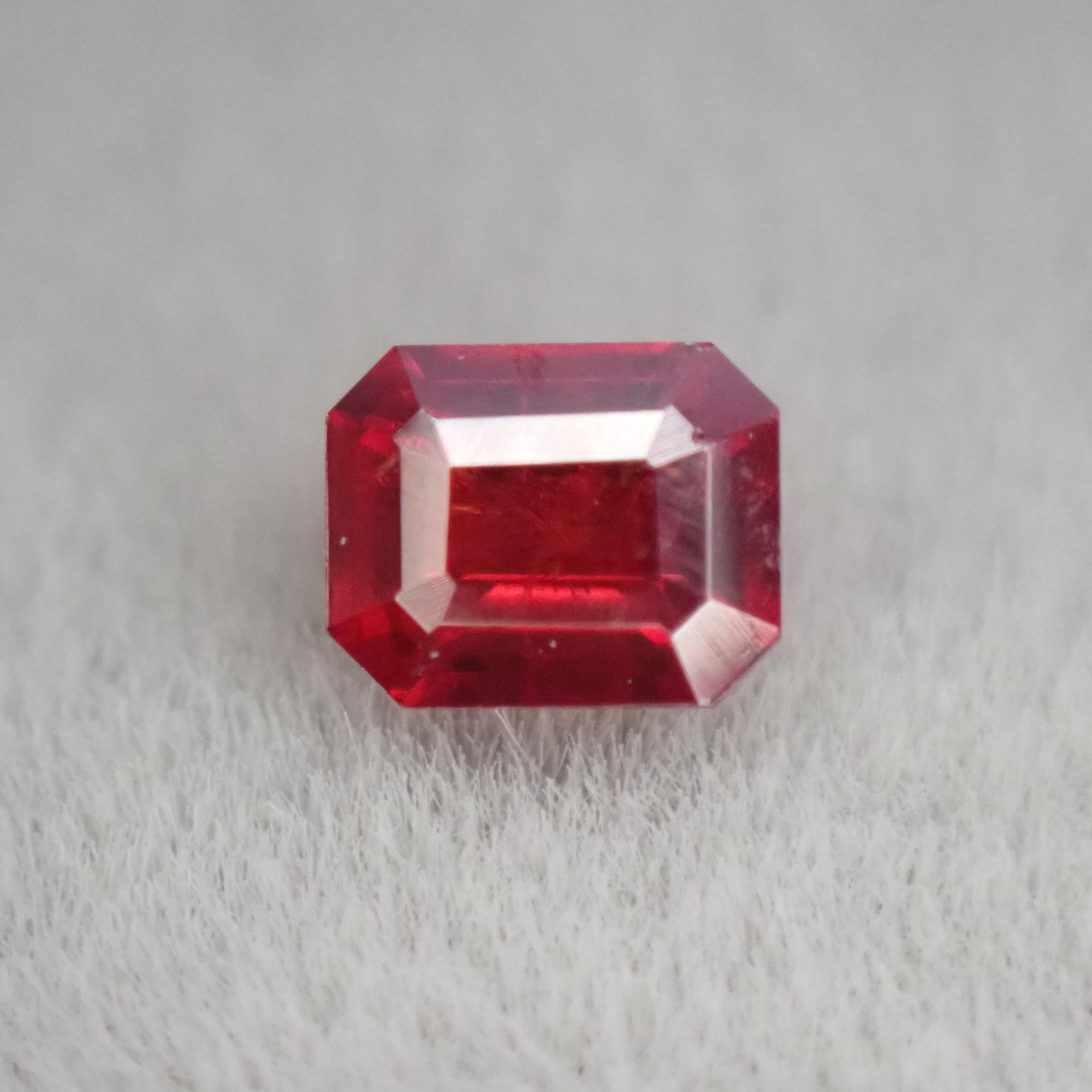 P9259859