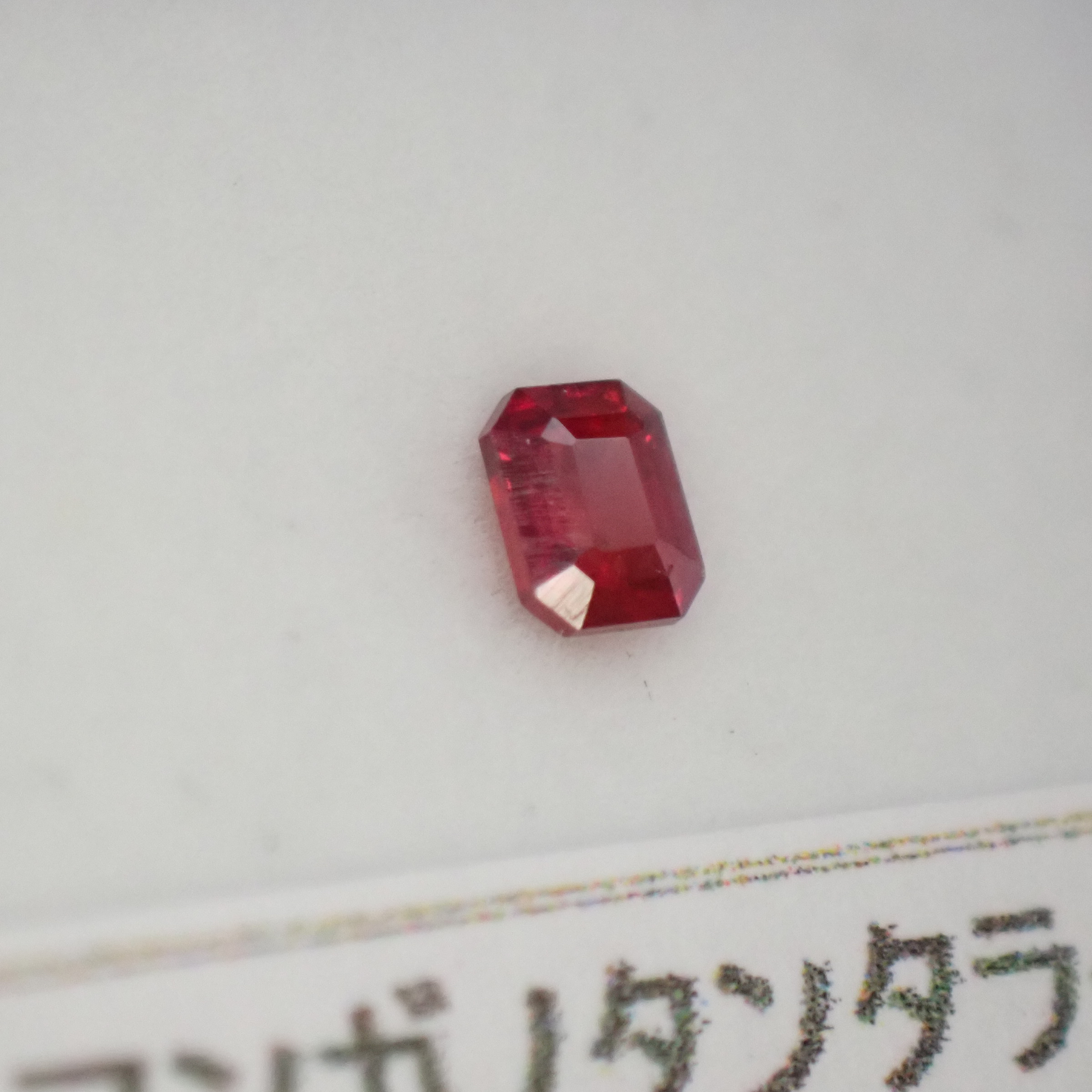 P9259861