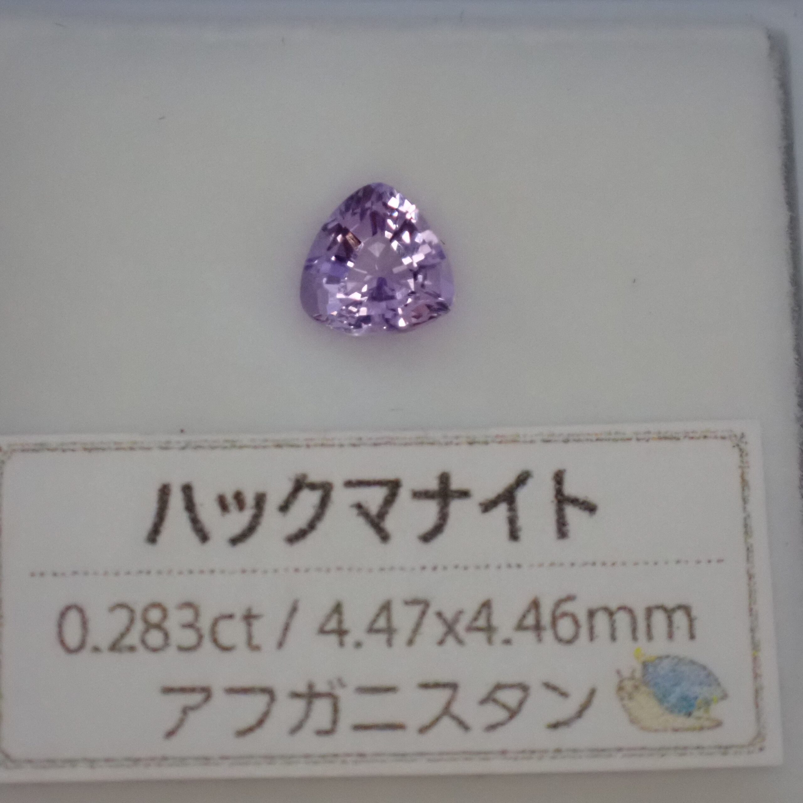 P9267067