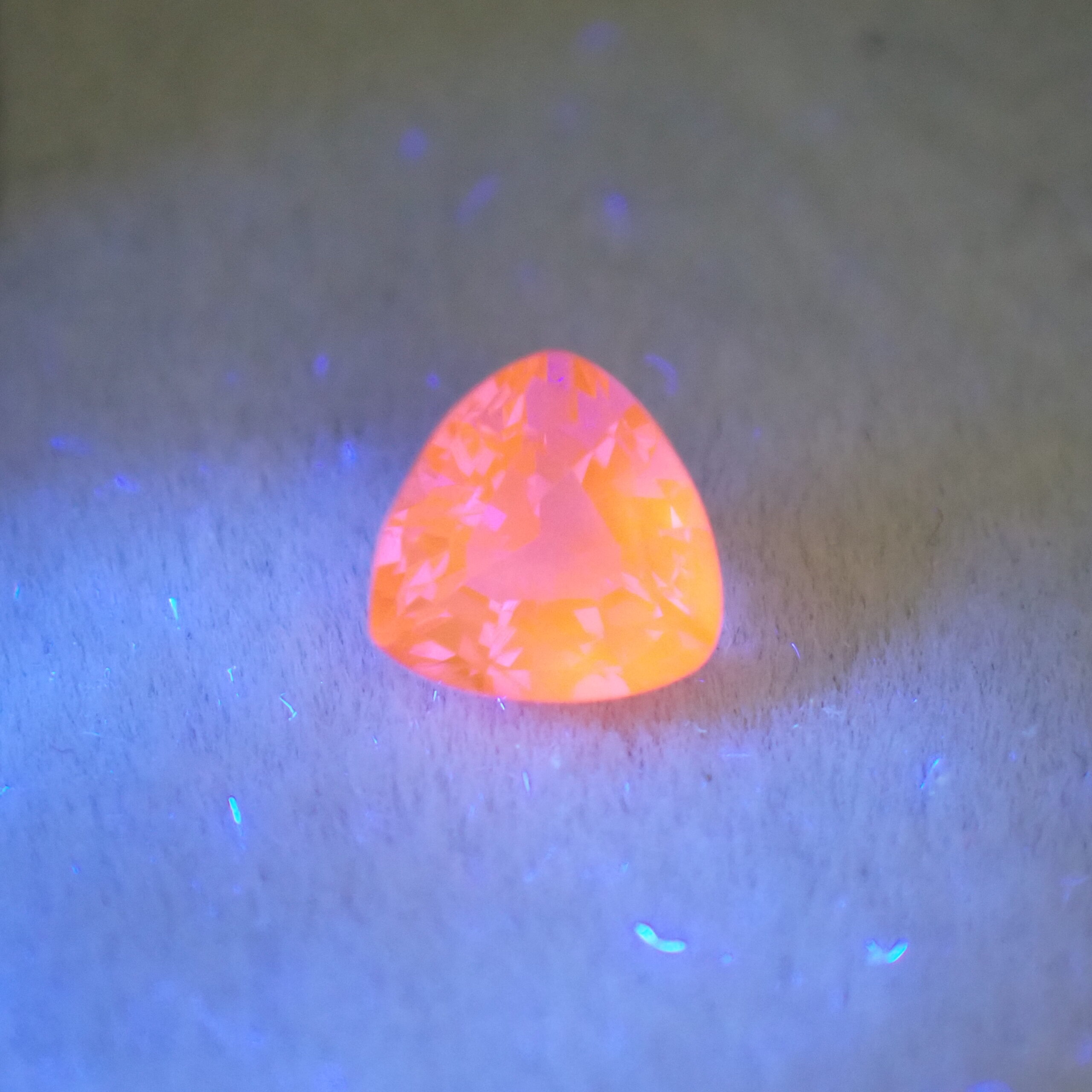 P9267072