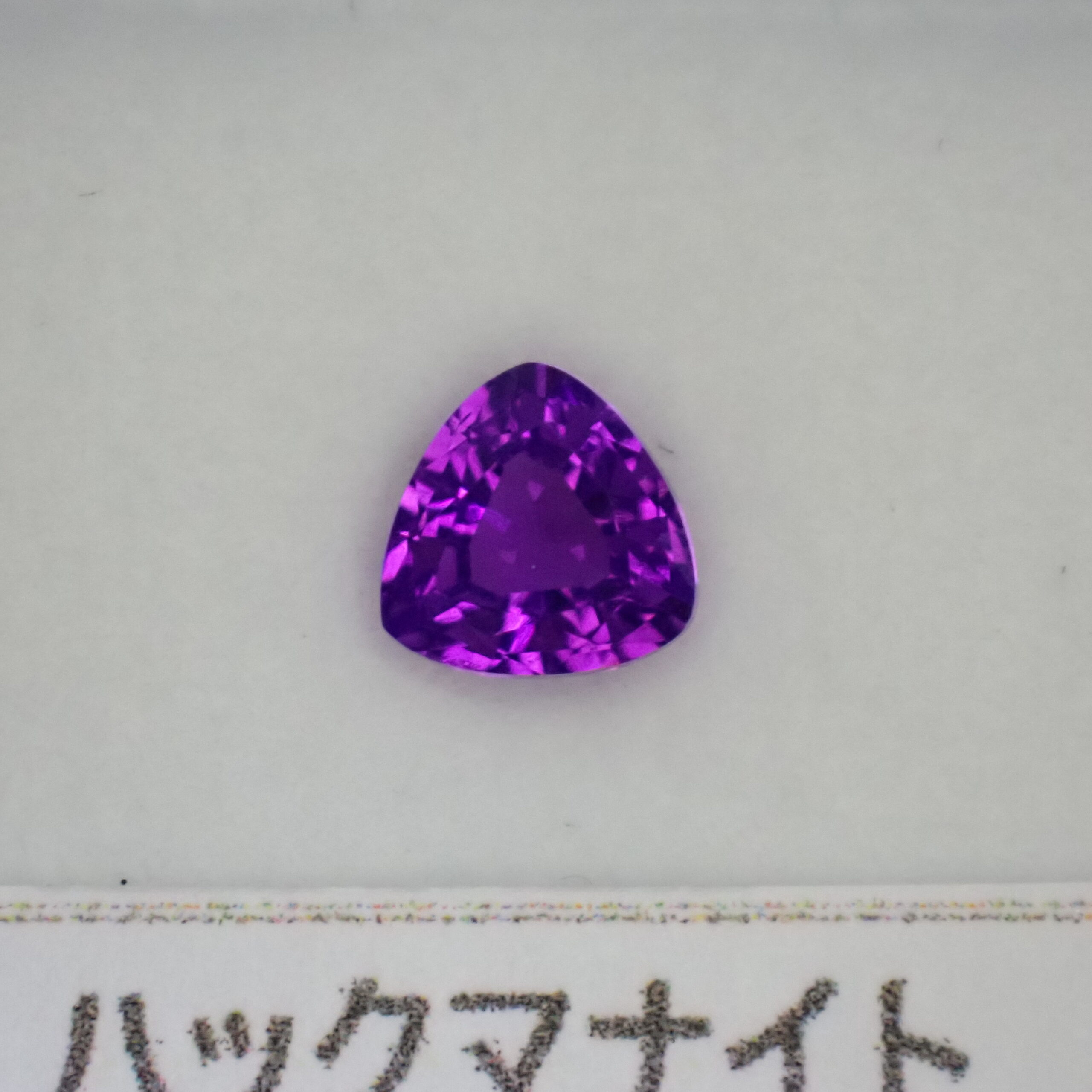 P9267074