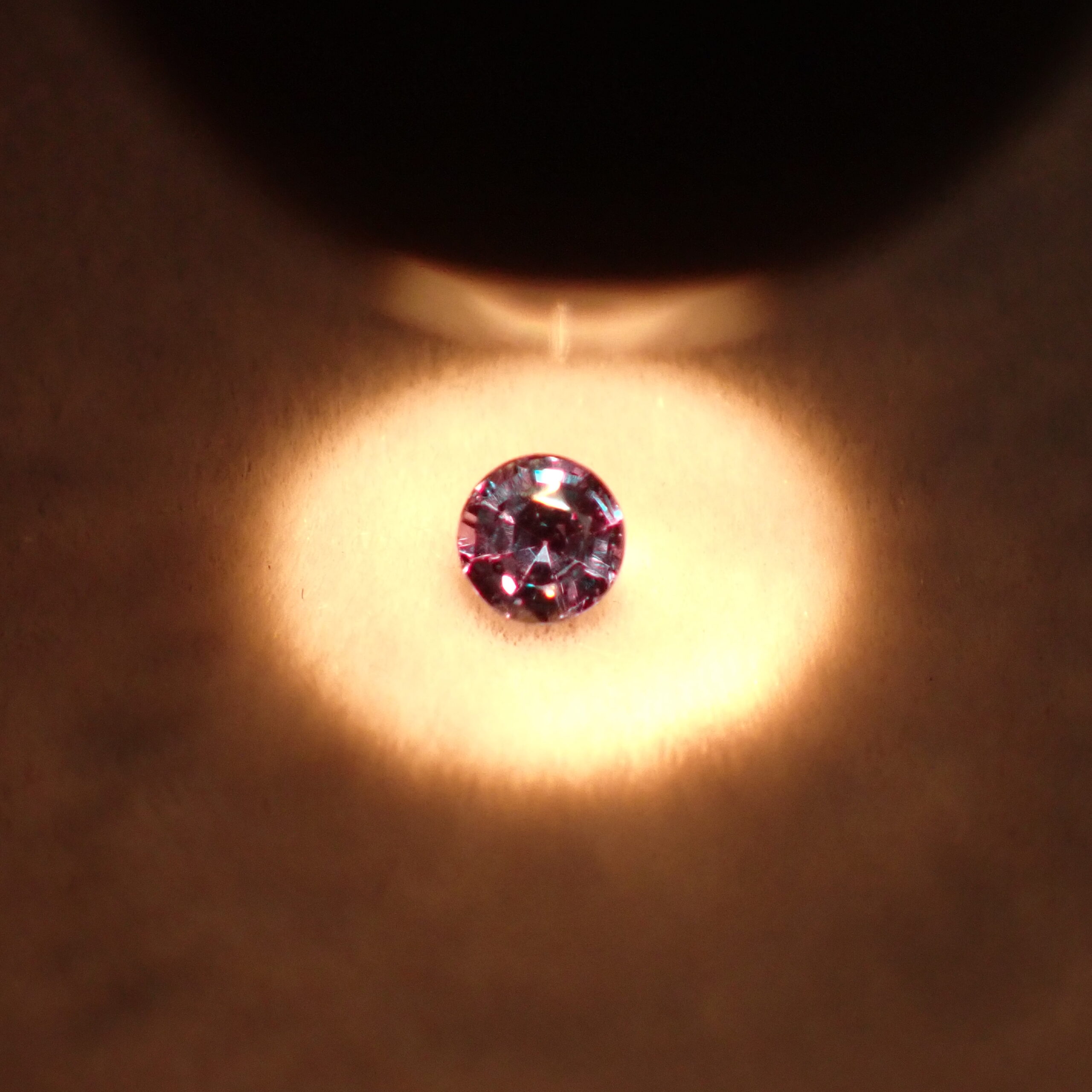 P9277137