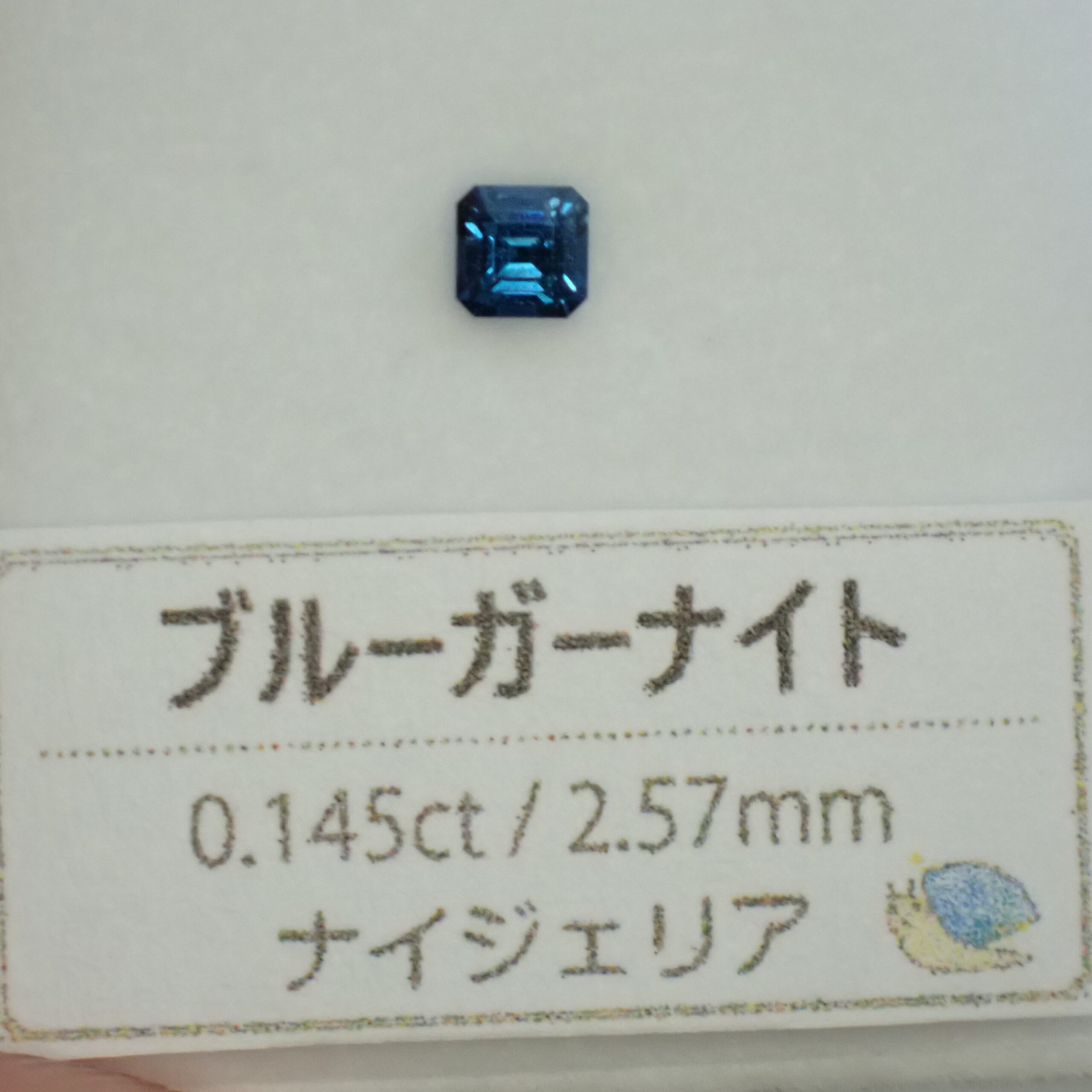 PA027329