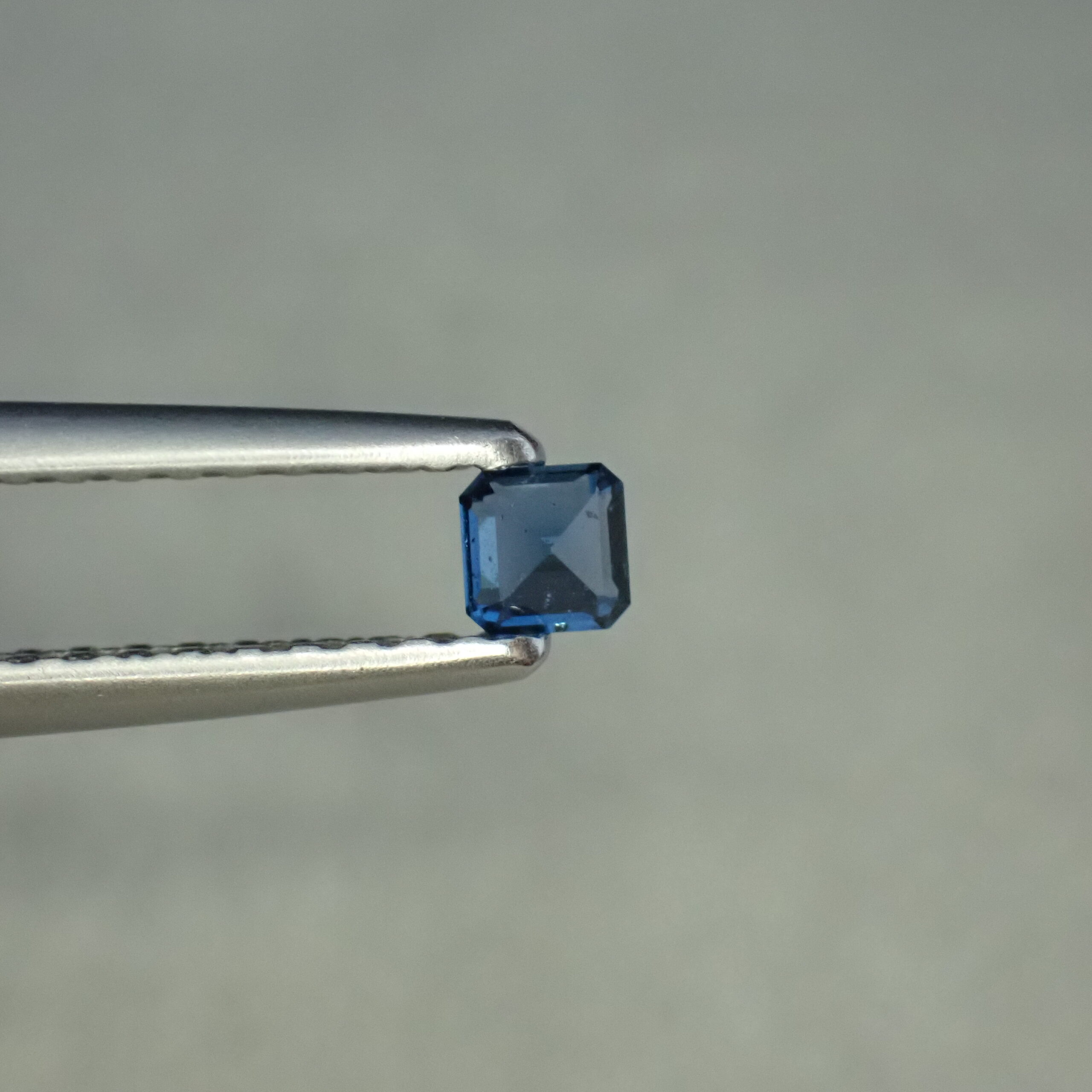 PA027334