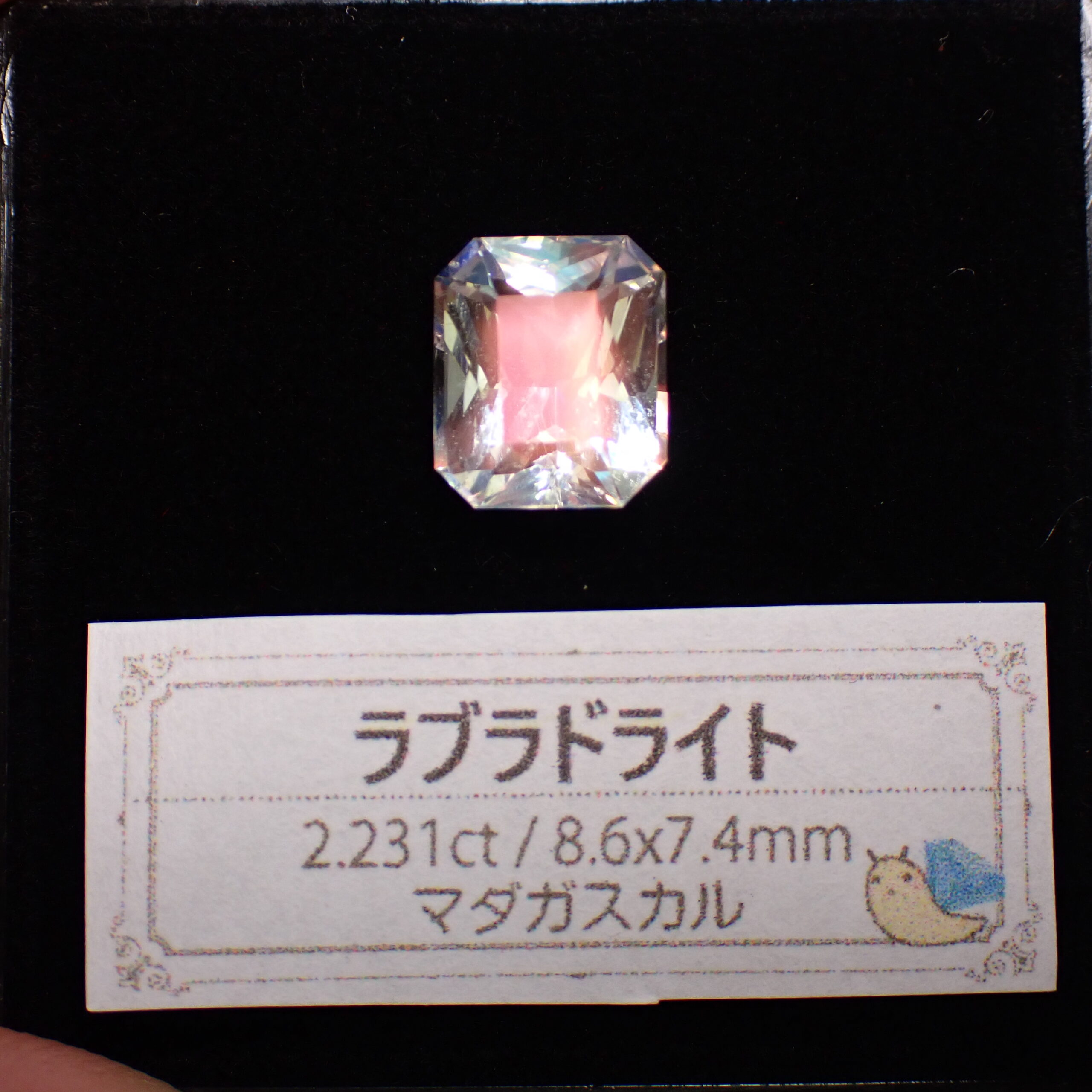 PA017234