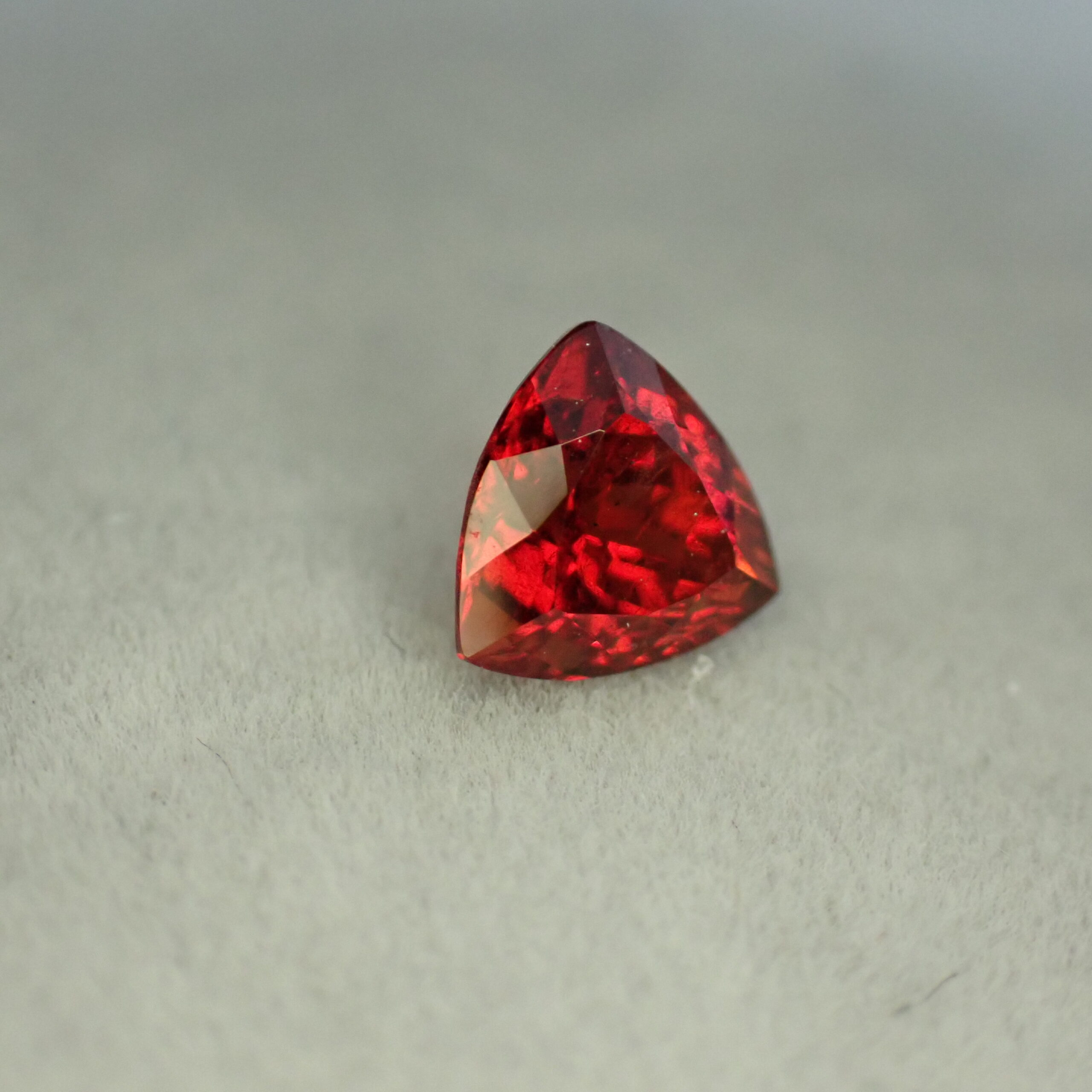 PA027284