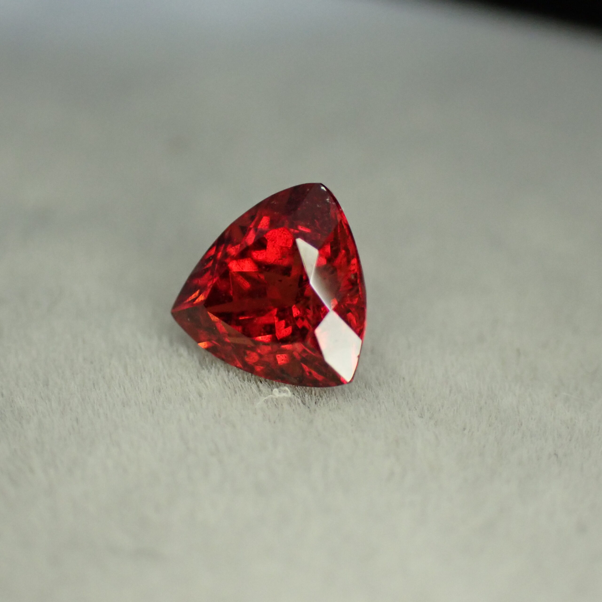 PA027285
