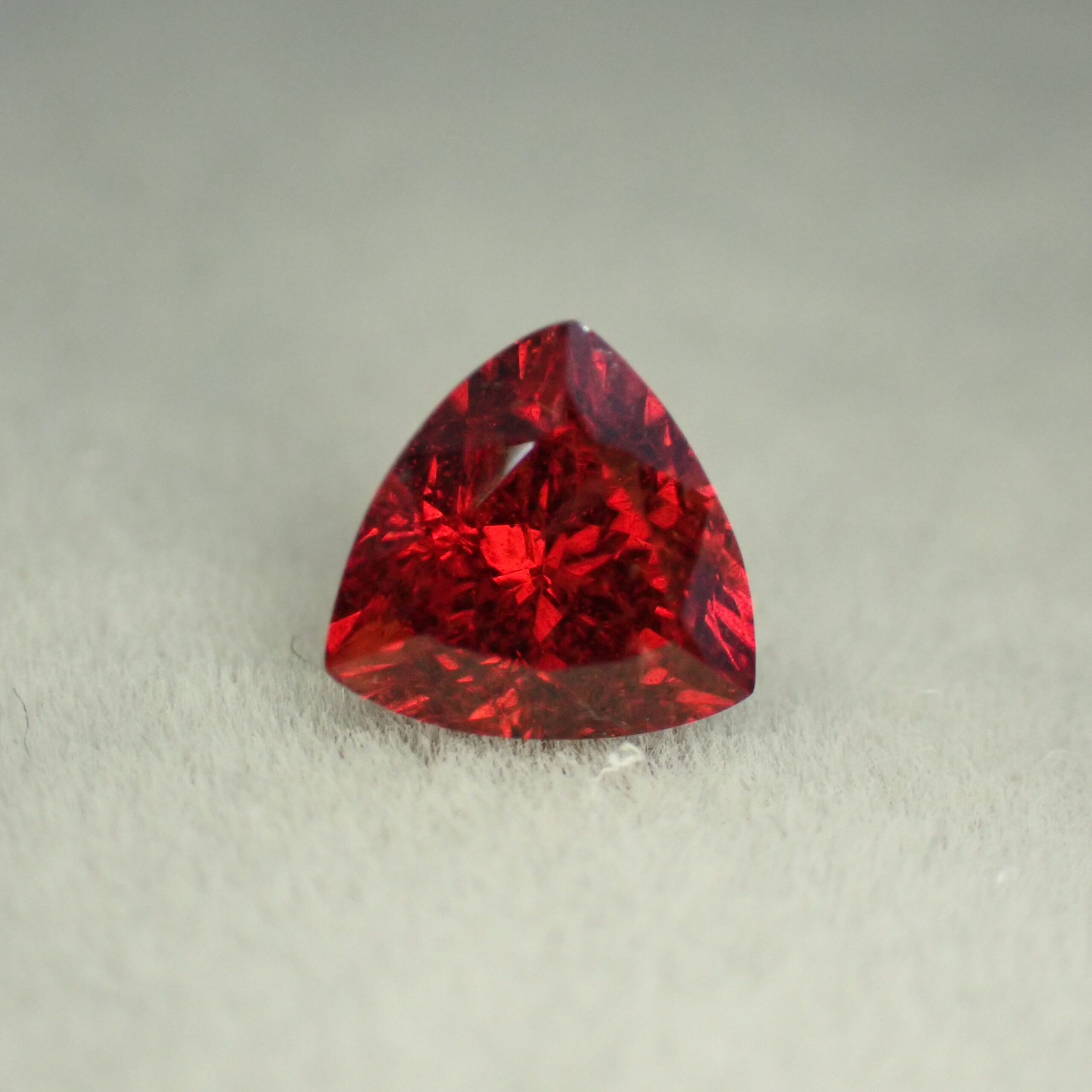 PA027286