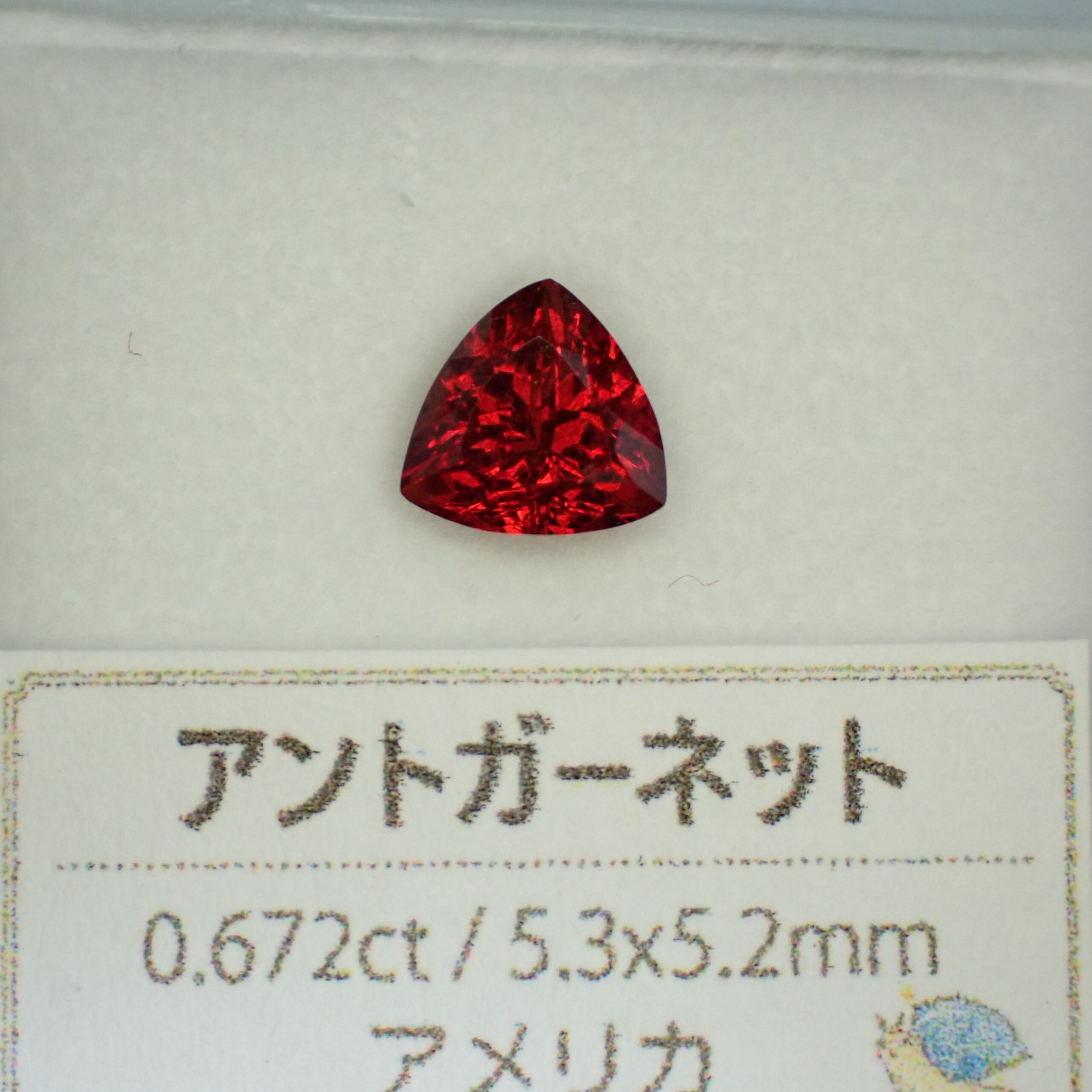 PA027289