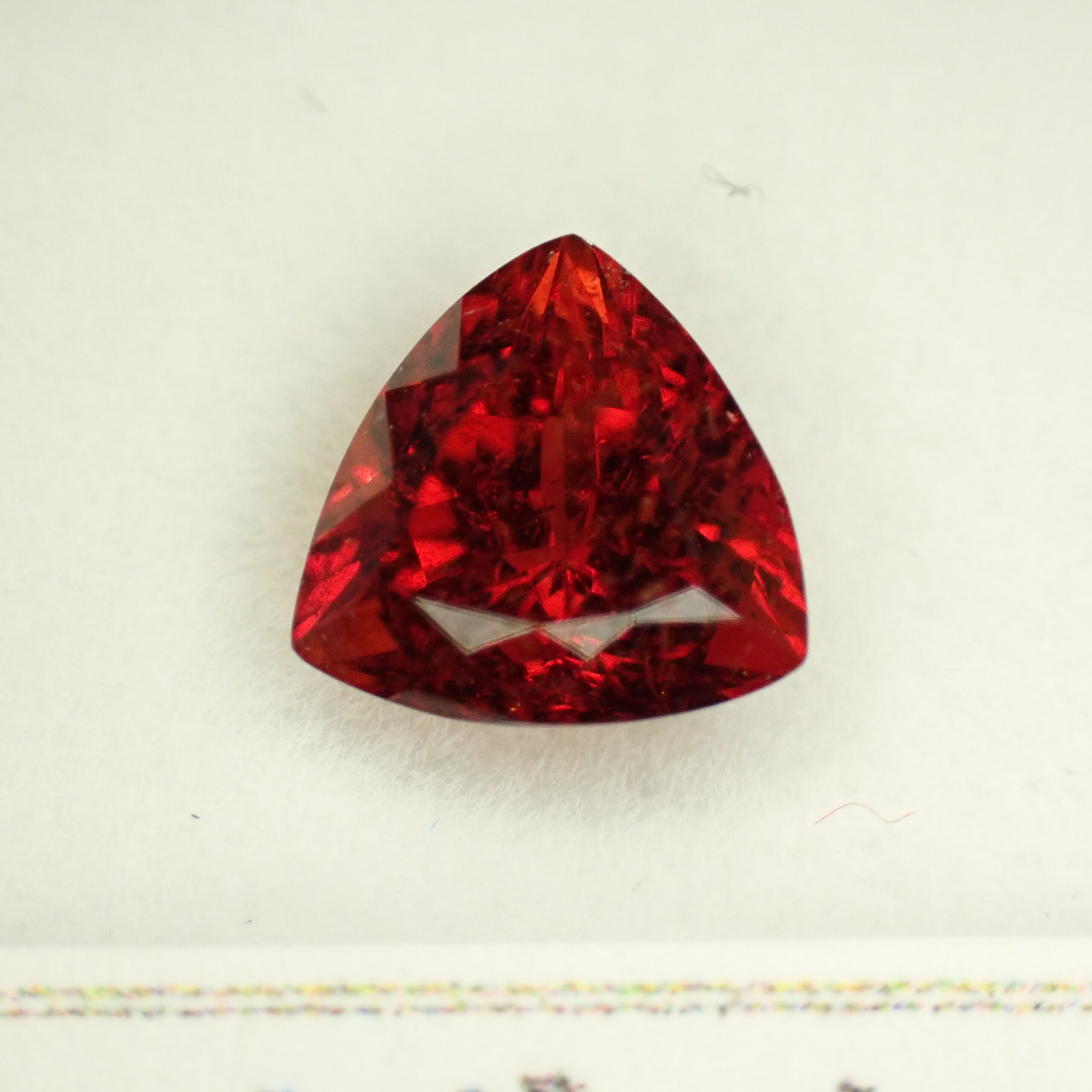 PA027292