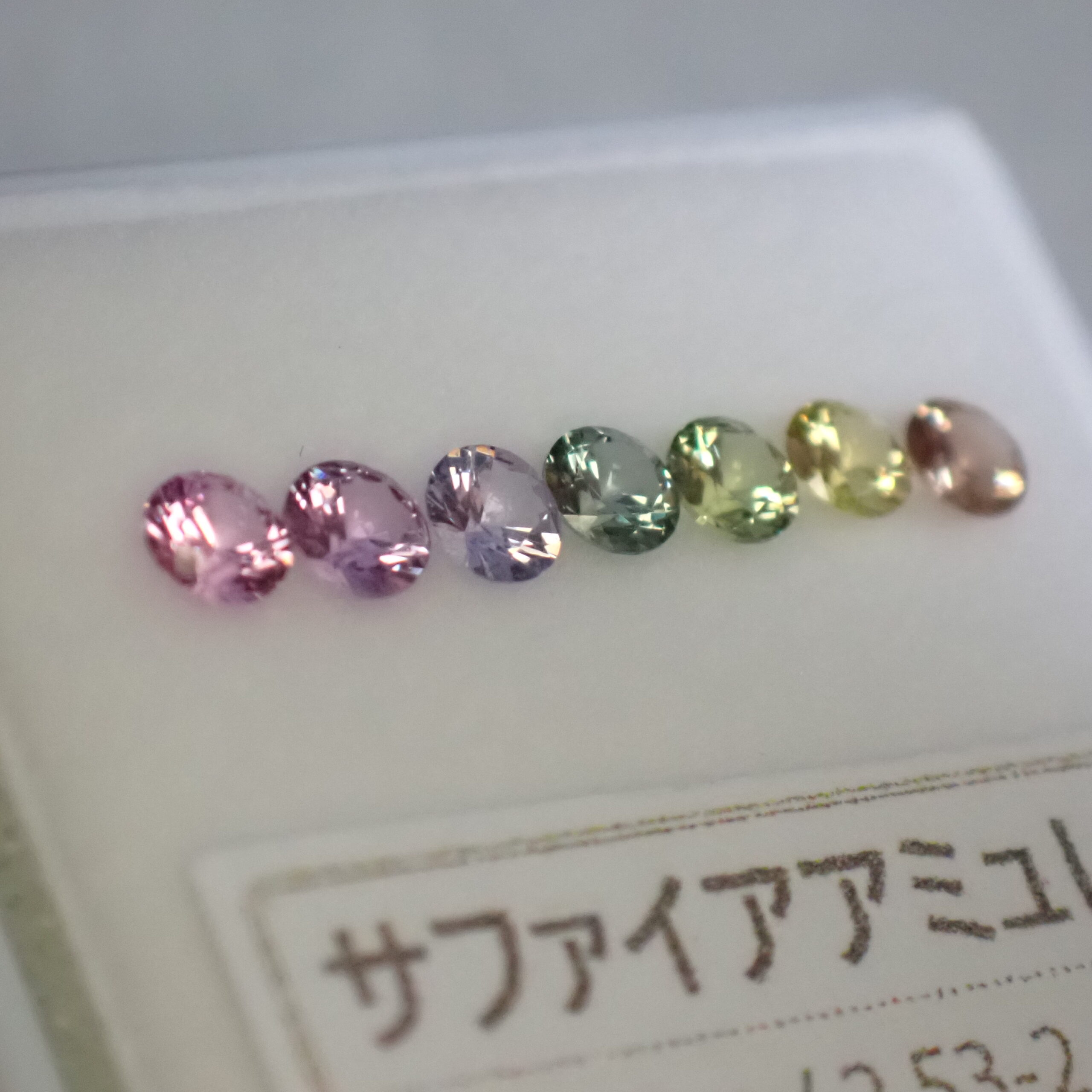 PA037337