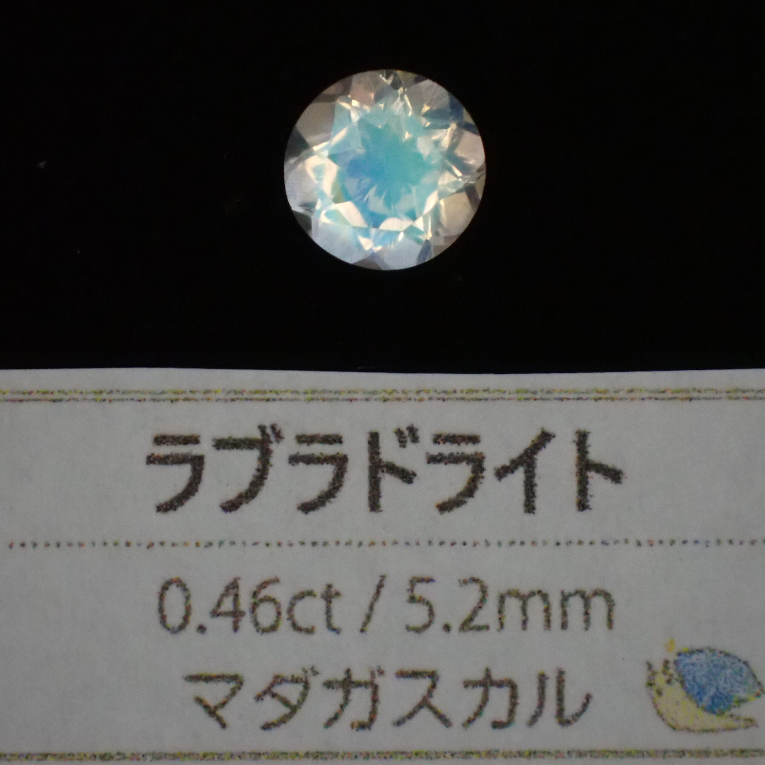 PA037350