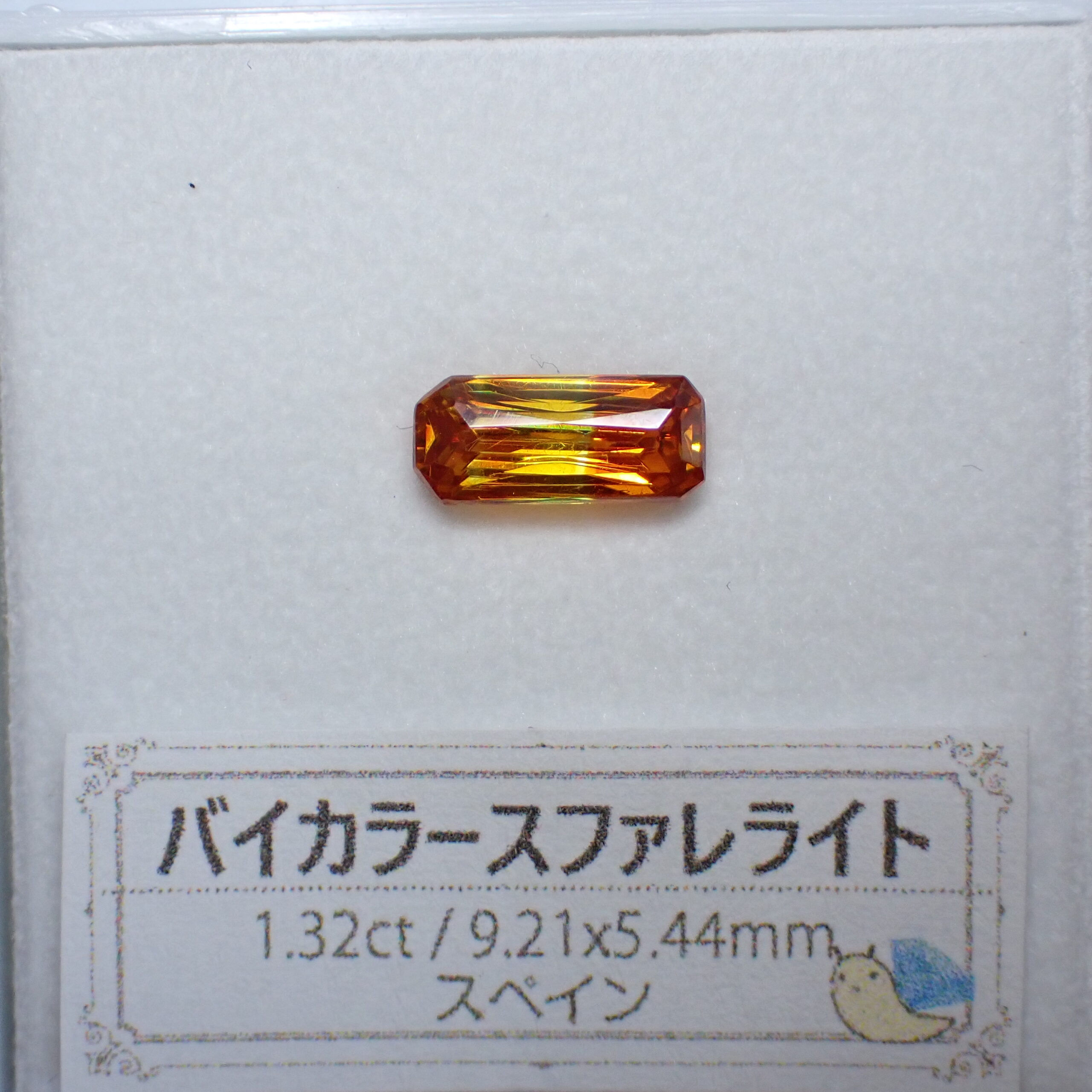 PA047391