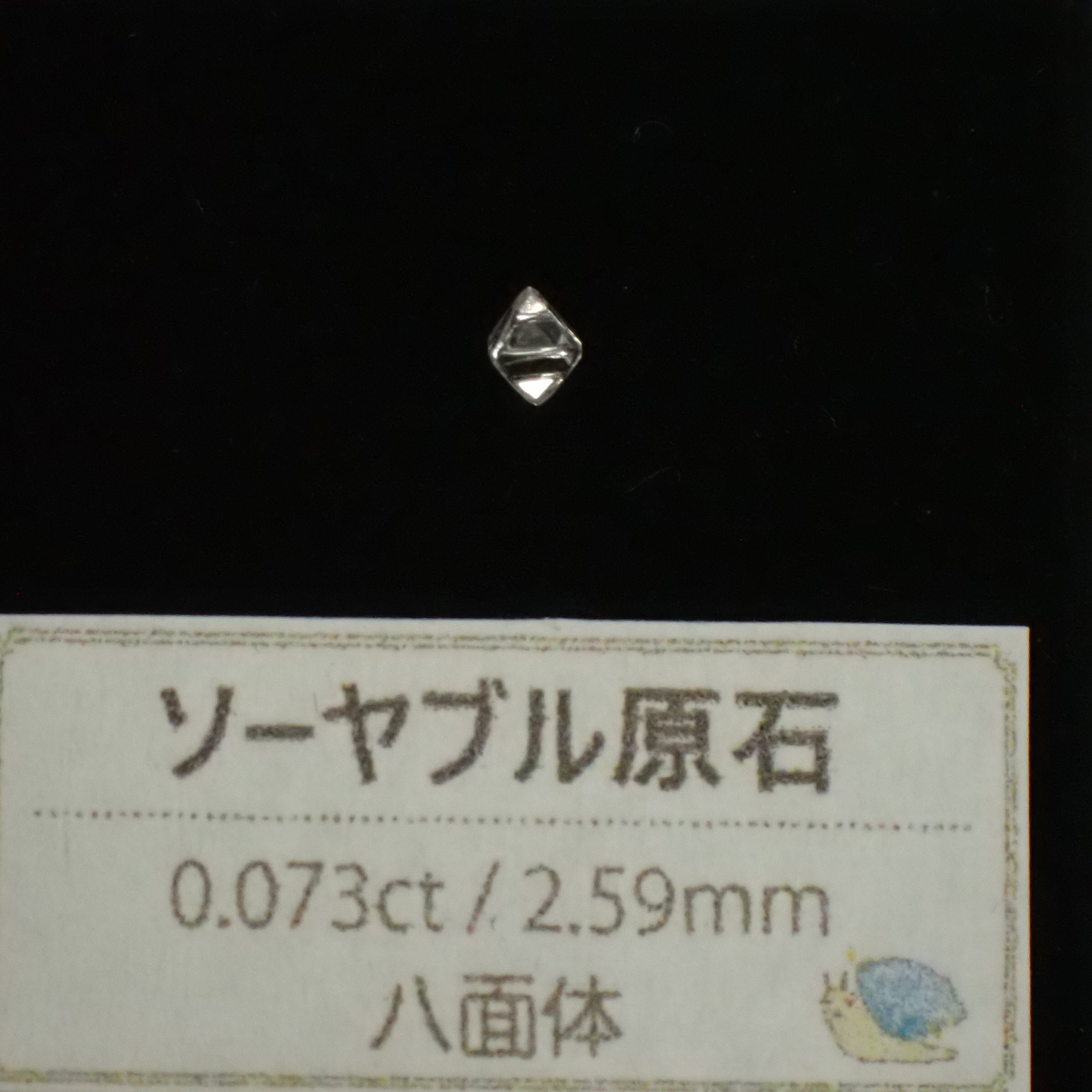 PA220055