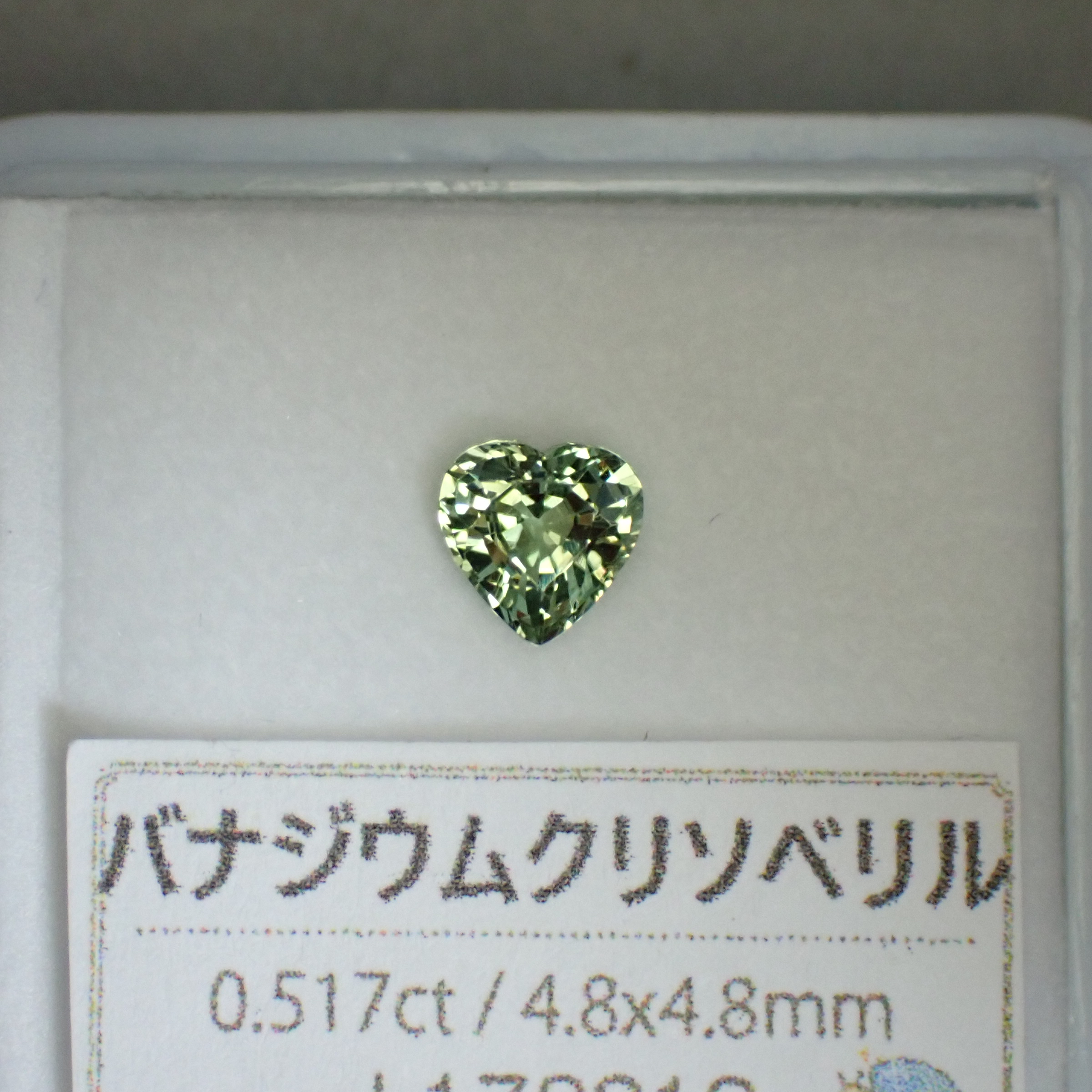 PA229995